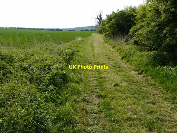 Photo 6"x4" Bridleway to Elton Elton\/TL0893 c2014
