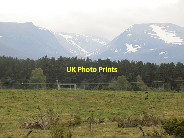 Photo 6"x4" Field, Guislich Coylumbridge c2014