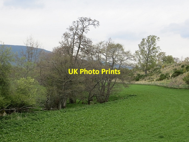 Photo 6"x4" Feith Shielich Dalfaber c2014