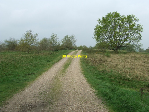 Photo 6"x4" Path On Outney Common Earsham c2014