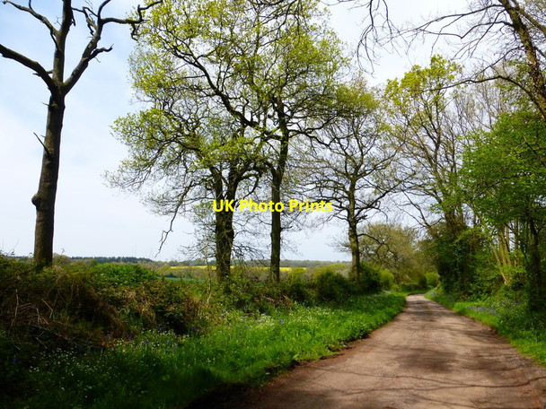 Photo 6"x4" Bridleway going north to Bagmore Lane Bagmore\/SU6644 c2014