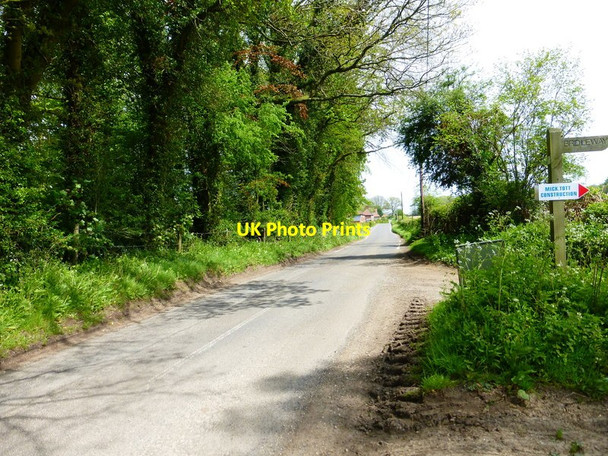 Photo 6"x4" Bridleway junction on Bagmore Lane Bagmore\/SU6644 c2014