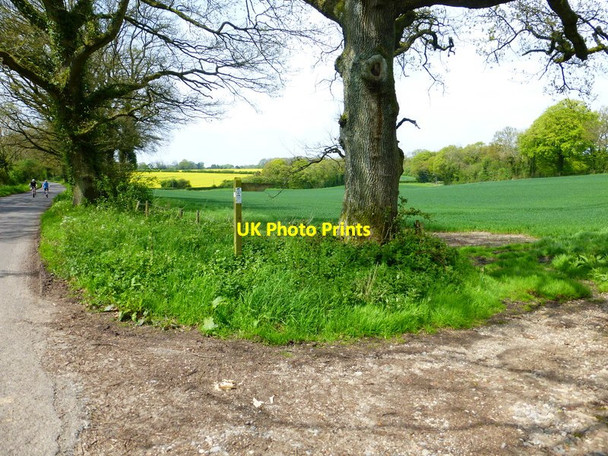 Photo 6"x4" Byway junction on Bagmore Lane Bagmore\/SU6644 c2014