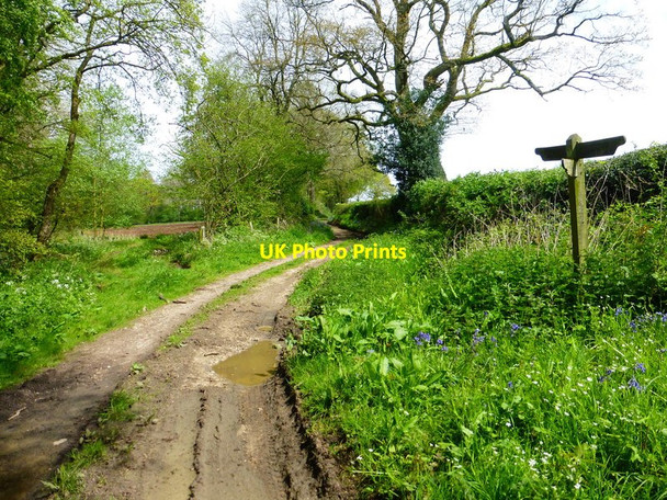 Photo 6"x4" Signpost on byway near Hurst Farm Herriard c2014
