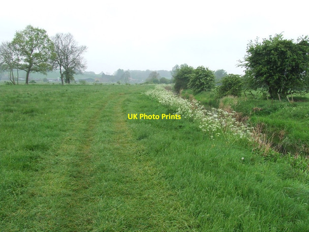 Photo 6"x4" Footpath And Meadow Bungay c2014
