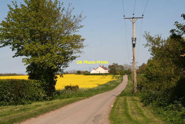 Photo 6"x4" House and rape field in Mill Lane, Saleby Saleby c2014