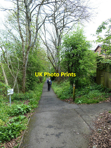 Photo 6"x4" Borders Abbeys Way at Tweedbank Galashiels c2014
