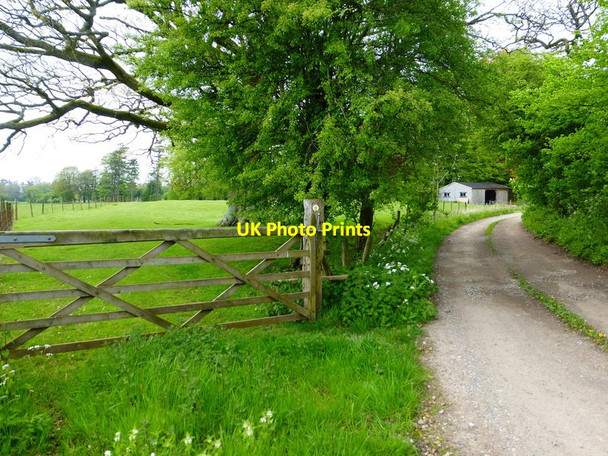 Photo 6"x4" Junction of footpath and private access road Lasham c2014