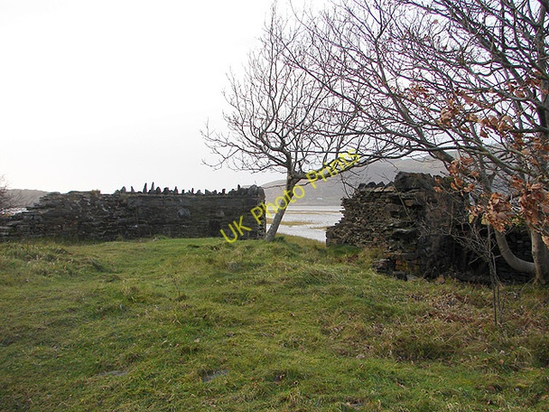 Photo 6"x4" Beside the Mawddach Trail Caerdeon c2008