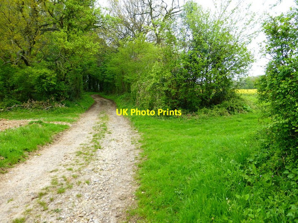Photo 6"x4" Bridleway enters small patch of woodland Bradley\/SU6341 c2014