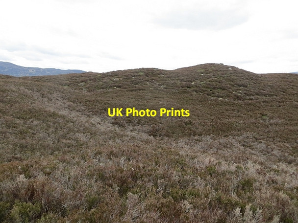 Photo 6"x4" Nuide Moss Newtonmore c2014