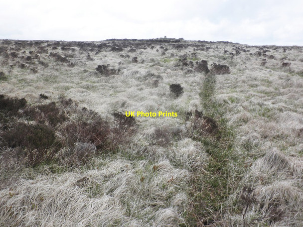 Photo 6"x4" Track on North Molton Ridge Twitchen\/SS7830 c2014
