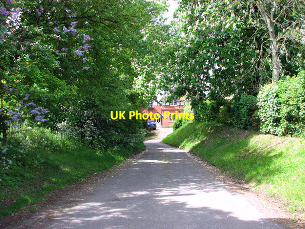 Photo 6"x4" View along The Street Belaugh c2014