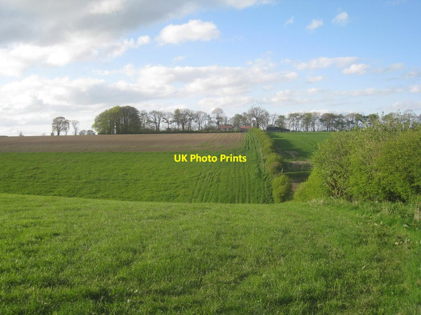 Photo 6"x4" View across the head of Worm Dale Painsthorpe c2014