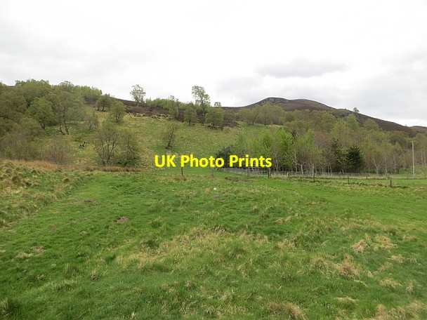 Photo 6"x4" Woodland, Phones Etteridge c2014