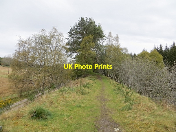 Photo 6"x4" Inverness and Perth Junction Railway Grantown-On-Spey c2014