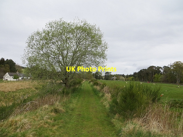 Photo 6"x4" Inverness and Perth Junction Railway Grantown-On-Spey c2014