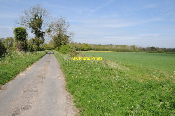 Photo 6"x4" Country road near Ampney Crucis Hilcot End c2014