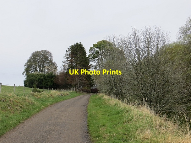 Photo 6"x4" Road to Lagg Craigdhu\/NJ0332 c2014