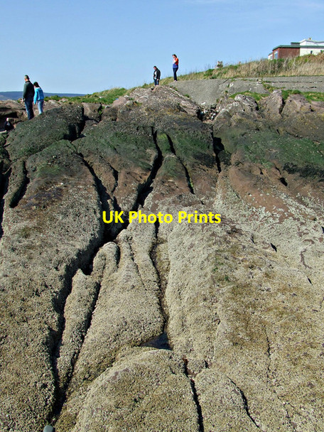 Photo 6"x4" Red sandstone bedrock at Wemyss Bay Wemyss Bay\/NS1969 c2014