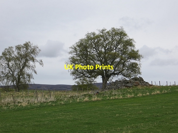 Photo 6"x4" Clearance cairn Cromdale c2014