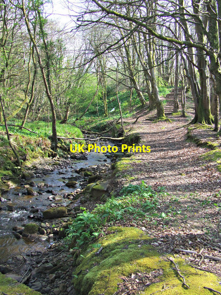 Photo 6"x4" The Brueacre Burn Wemyss Bay\/NS1969 c2014 P2
