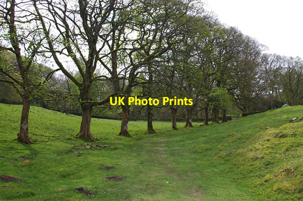 Photo 6"x4" Pennine Way at Water Houses Water Houses\/SD8867 c2014