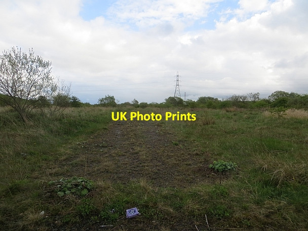 Photo 6"x4" Rough ground, Cairnmuir Road Nerston c2014