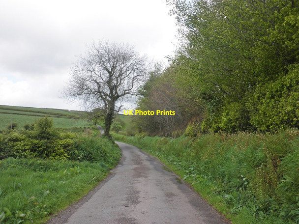 Photo 6"x4" Minor road to Kensall Cross Brinsworthy c2014