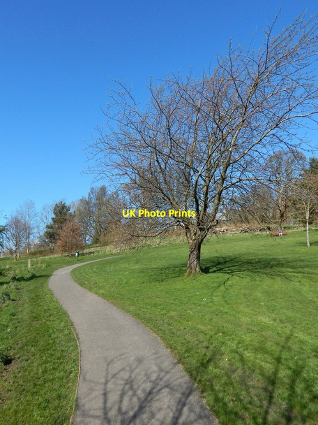 Photo 6"x4" Path in Balloch Castle Country Park Balloch\/NS3982 c2014