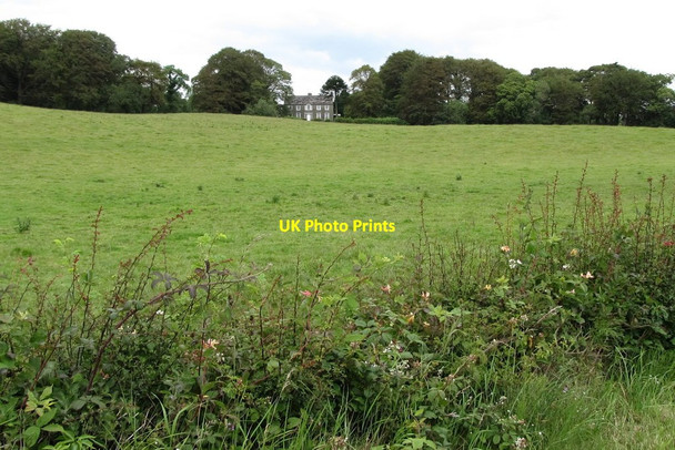 Photo 6"x4" Villa in Farranfad Wood Seaforde c2011