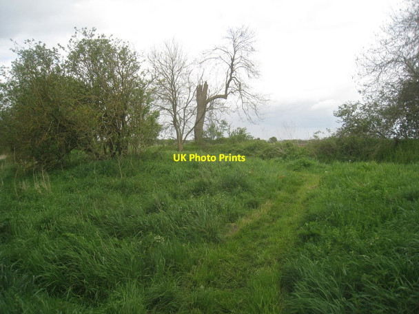 Photo 6"x4" Footpath to Everingham Seaton Ross c2014 P1