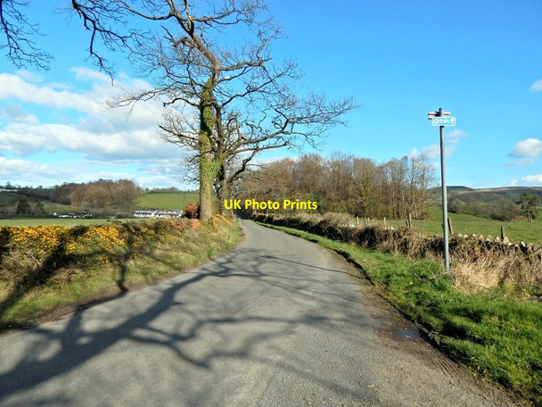 Photo 6"x4" A country road in Balloch Alexandria c2014
