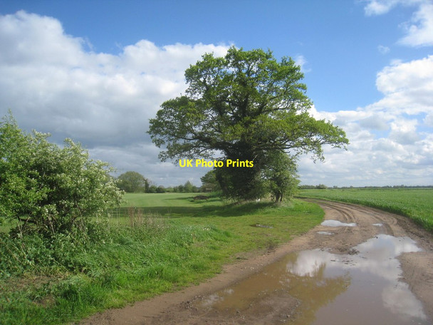 Photo 6"x4" Footpath to Holme upon Spalding Moor Everingham c2014