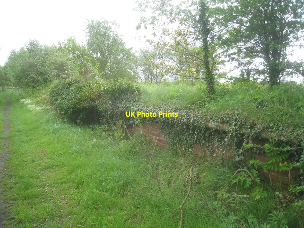 Photo 6"x4" Former up platform, Everingham Station Harswell c2014