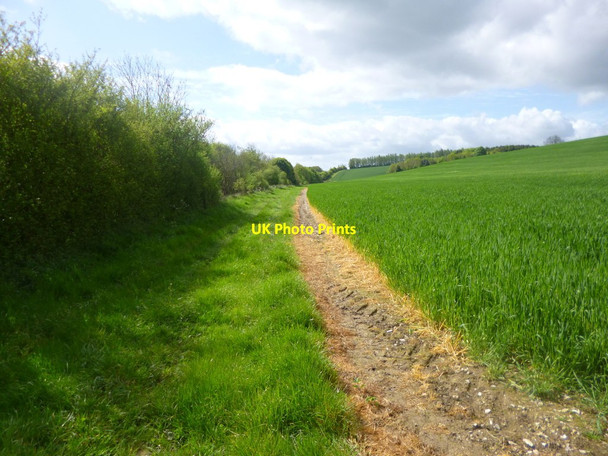Photo 6"x4" Burghclere, permissive bridleway Litchfield c2014