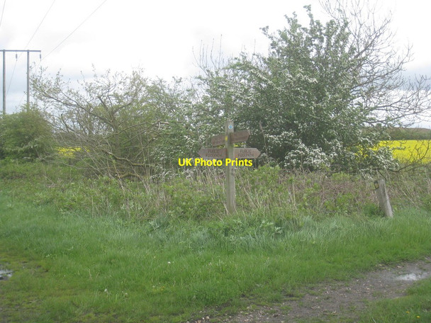 Photo 6"x4" Two paths crossing Harswell c2014