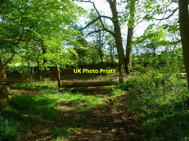 Photo 6"x4" Footpath reaches byway at southern edge of Wadgett's Copse Bentworth c2014