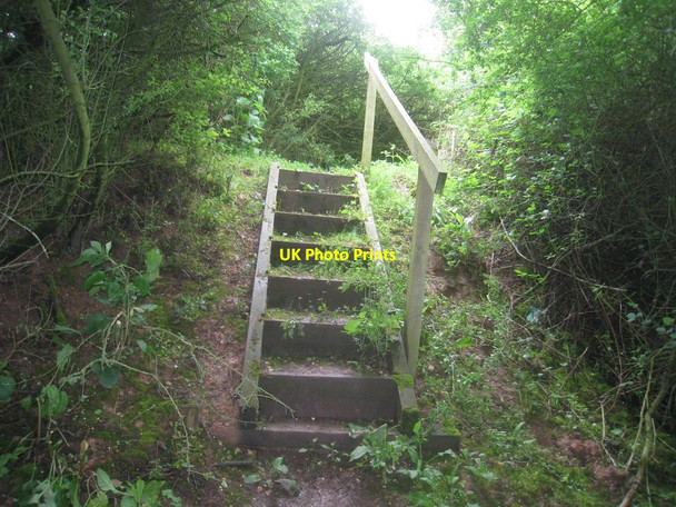 Photo 6"x4" Steps on the path Harswell c2014