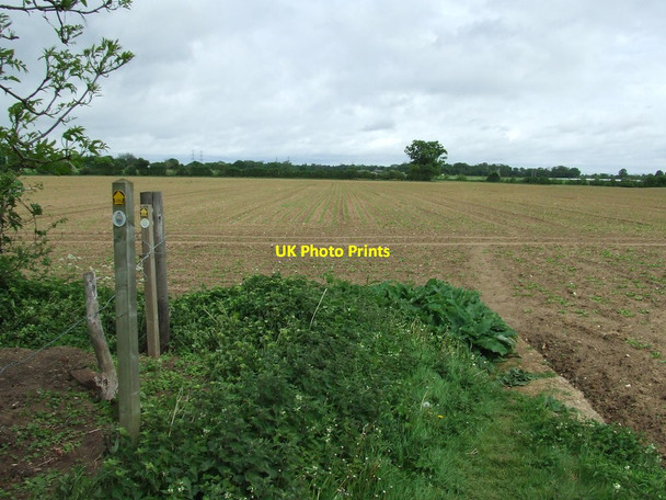 Photo 6"x4" Open Fields Ufford\/TM2952 c2014