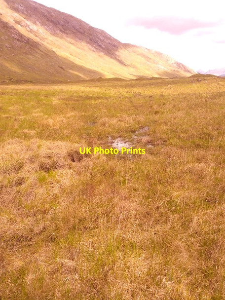 Photo 6"x4" Waterlogged & boggy floor of Glen Tarbert Inversanda c2014