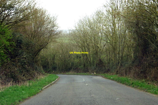 Photo 6"x4" The road to Murcott Boarstall c2014
