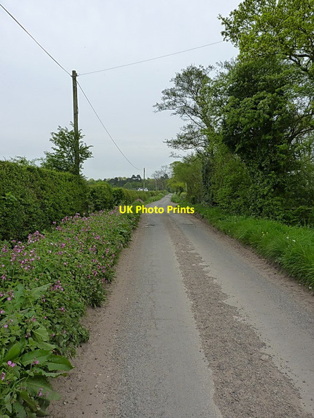 Photo 6"x4" The lane to Longnor Gorse Longnor\/SJ8614 c2014