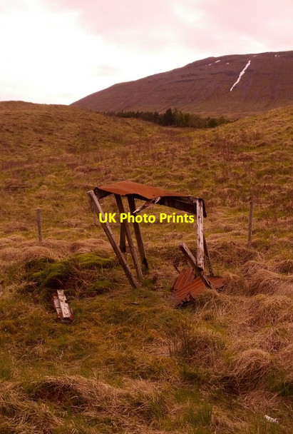 Photo 6"x4" Shed of the Day, not long for this life: Beinn an Dothaidh slopes beyond Bridge of Orchy c2014