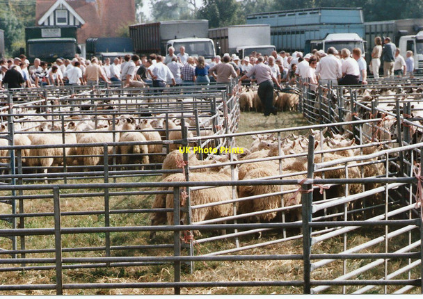 Photo 6"x4" Findon Sheep Fair Findon\/TQ1208 c1999