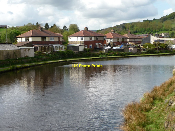 Photo 6"x4" Semis on Rochdale Road, south end of Walsden Knowl Wood\/SD9322 c2014