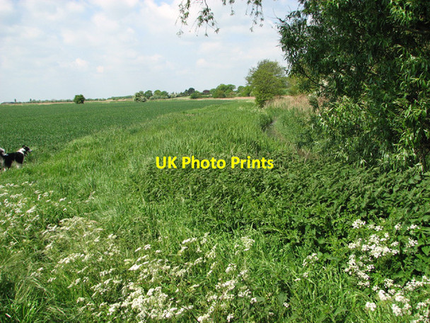 Photo 6"x4" Fields by Decoy Farm West End\/TG4911 c2014