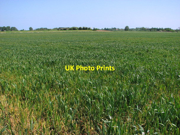 Photo 6"x4" Fields in Mautby Marsh West End\/TG4911 c2014