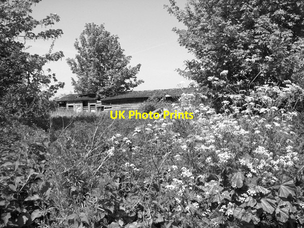 Photo 6"x4" Disused sheds by Sunset Farm West End\/TG4911 c2014