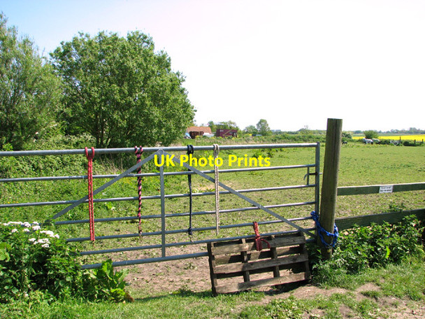 Photo 6"x4" Pastures by Elm Farm West Caister c2014